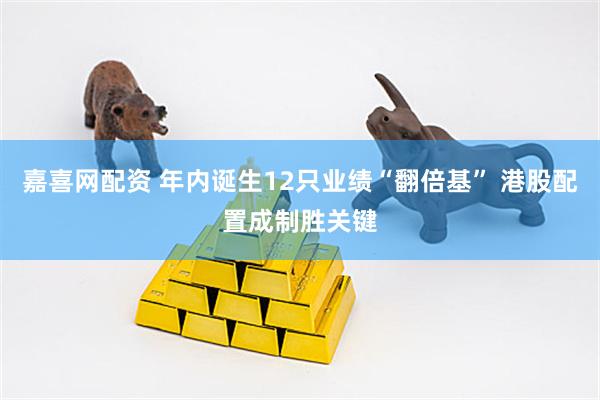嘉喜网配资 年内诞生12只业绩“翻倍基” 港股配置成制胜关键