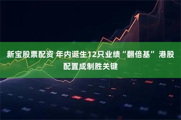 新宝股票配资 年内诞生12只业绩“翻倍基” 港股配置成制胜关键