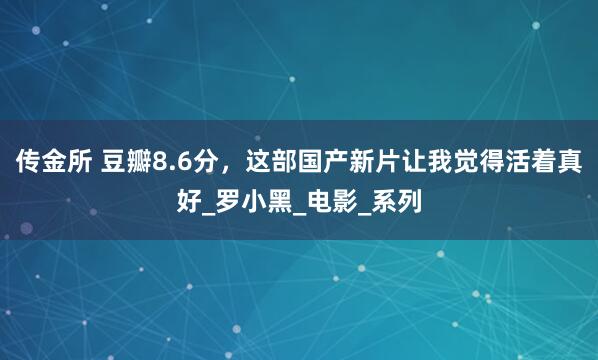 传金所 豆瓣8.6分，这部国产新片让我觉得活着真好_罗小黑_电影_系列