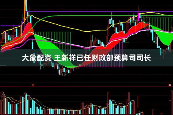 大象配资 王新祥已任财政部预算司司长