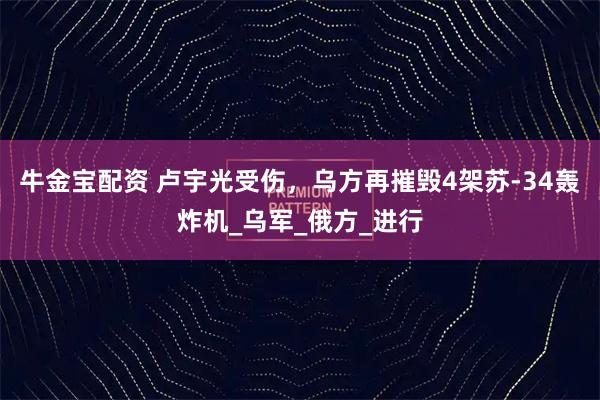 牛金宝配资 卢宇光受伤，乌方再摧毁4架苏-34轰炸机_乌军_俄方_进行