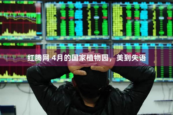 红腾网 4月的国家植物园，美到失语