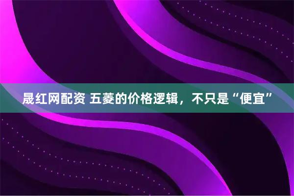 晟红网配资 五菱的价格逻辑，不只是“便宜”